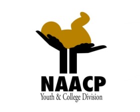 NAACP YOUTH & COLLEGE DIVISION entry by authorramona