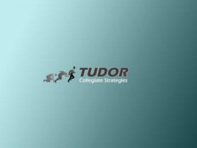 Tudor Collegiate Strategies entry by mr.alexc