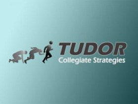 Tudor Collegiate Strategies entry by mr.alexc