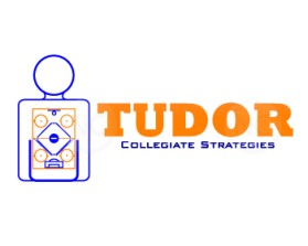 Tudor Collegiate Strategies entry by Nicco
