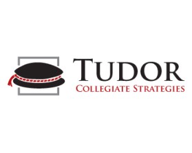 Tudor Collegiate Strategies entry by designbuddha