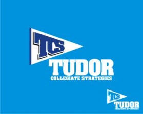 Tudor Collegiate Strategies entry by newbie