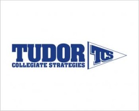 Tudor Collegiate Strategies entry by newbie