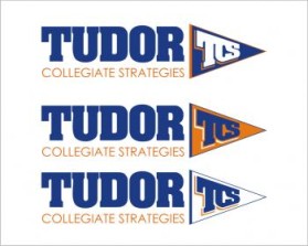 Tudor Collegiate Strategies entry by newbie