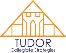 Tudor Collegiate Strategies entry by Men at Work