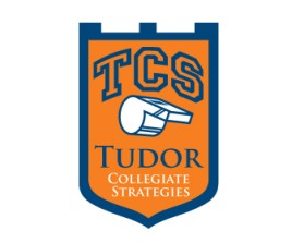 Tudor Collegiate Strategies entry by designbuddha