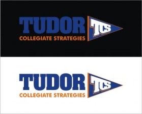 Tudor Collegiate Strategies entry by newbie