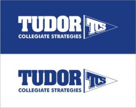 Tudor Collegiate Strategies entry by newbie