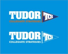 Tudor Collegiate Strategies entry by newbie