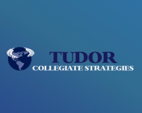 Tudor Collegiate Strategies entry by G_073
