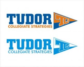 Tudor Collegiate Strategies entry by slamet 