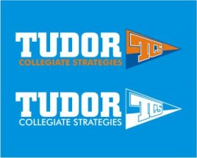 Tudor Collegiate Strategies entry by slamet 