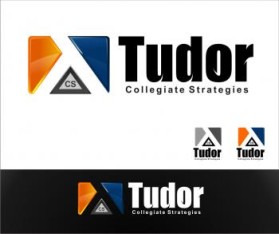 Tudor Collegiate Strategies entry by Better