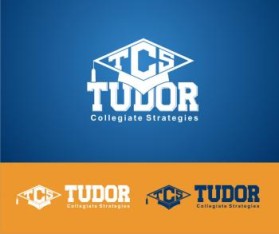 Tudor Collegiate Strategies entry by Better