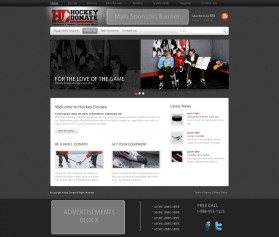 hockeydonate.com entry by emilyfnm3d