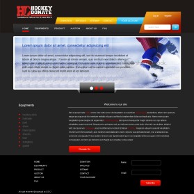 hockeydonate.com entry by sushovan