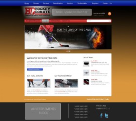 hockeydonate.com entry by emilyfnm3d