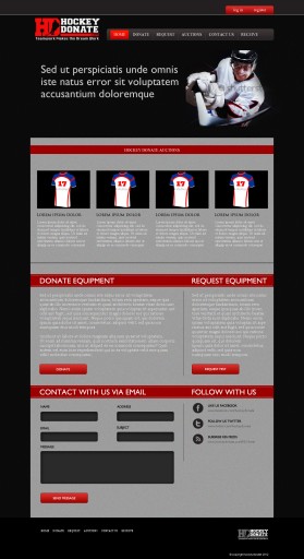 hockeydonate.com entry by sushovan
