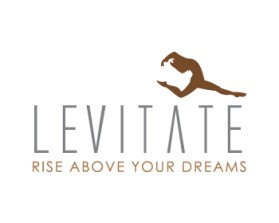 Levitatedance.com entry by elevenz