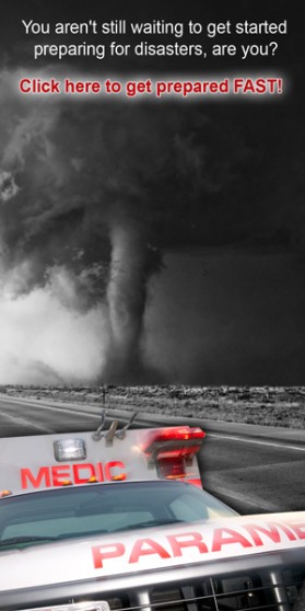 Banner Ad Design entry 514921 submitted by dar_win