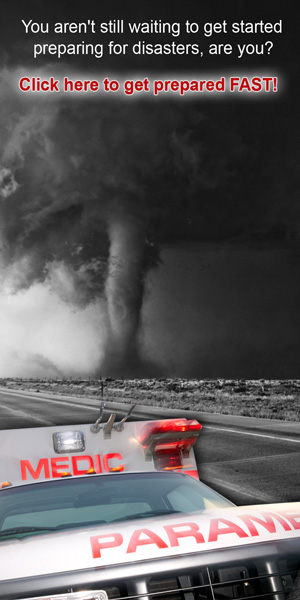 Banner Ad Design entry 514921 submitted by dar_win