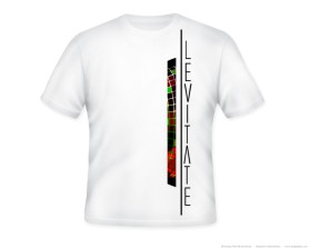 Levitate  entry by cifel