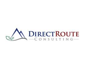 Direct Route Consulting entry by elevenz