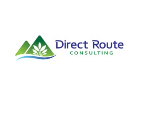 Direct Route Consulting entry by rekakawan
