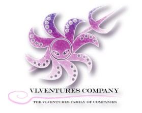 VLVentures Company entry by asc