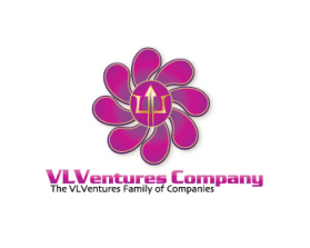 VLVentures Company entry by kbcorbin