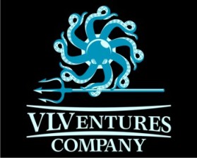 VLVentures Company entry by Digiti Minimi