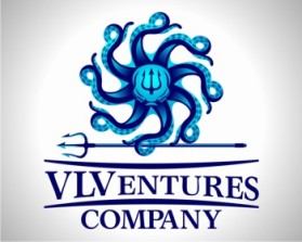 VLVentures Company entry by Digiti Minimi