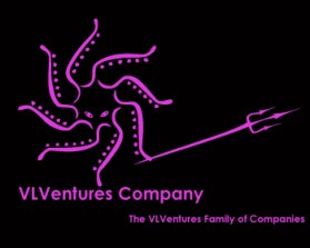 VLVentures Company entry by asc