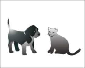 Animal Hospital entry by an anonymous creative