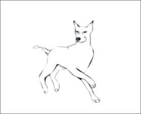 Animal Hospital entry by an anonymous creative