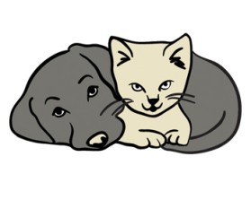 Animal Hospital entry by an anonymous creative