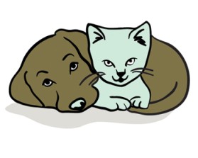 Animal Hospital entry by an anonymous creative