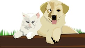Animal Hospital entry by an anonymous creative