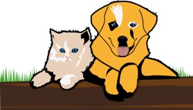 Animal Hospital entry by an anonymous creative