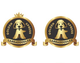 Golden Xpress Labradoodles entry by svedesign