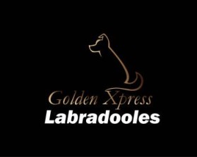 Golden Xpress Labradoodles entry by Syachreza