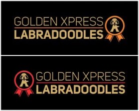 Golden Xpress Labradoodles entry by svedesign