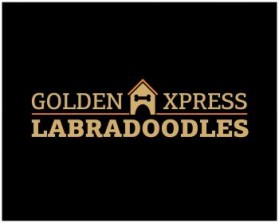 Golden Xpress Labradoodles entry by svedesign