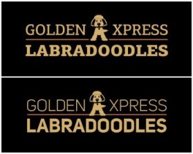 Golden Xpress Labradoodles entry by svedesign