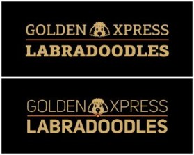 Golden Xpress Labradoodles entry by svedesign
