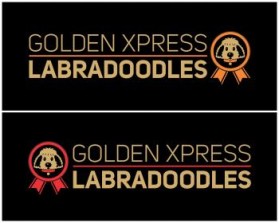 Golden Xpress Labradoodles entry by svedesign