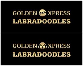 Golden Xpress Labradoodles entry by svedesign