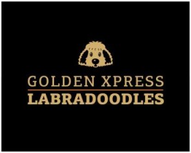 Golden Xpress Labradoodles entry by svedesign