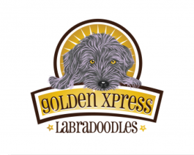 Golden Xpress Labradoodles entry by Lifedrops