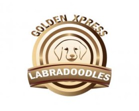 Golden Xpress Labradoodles entry by Syachreza